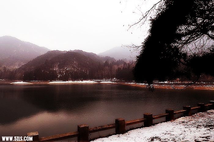 P1020701.jpg