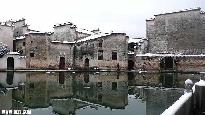 P1100491.jpg