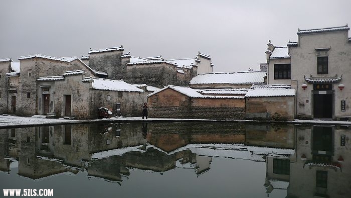 P1100493.jpg