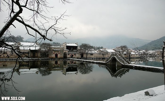 P1100503.jpg