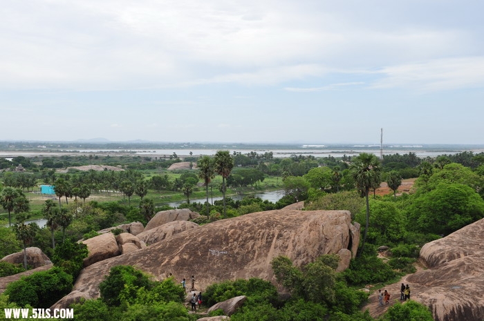 DSC_6398_СС.jpg