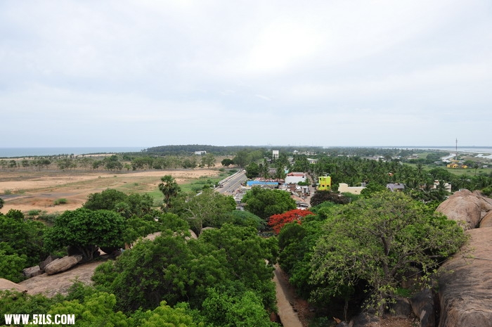 DSC_6394_СС.jpg
