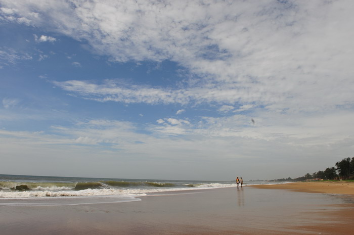 DSC_6782_СС.JPG