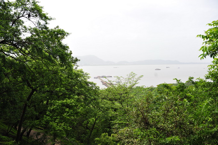 DSC_7306_СС.JPG