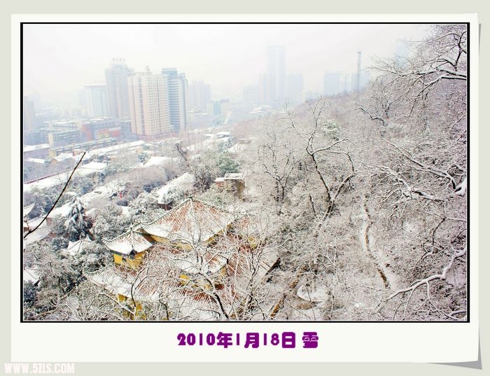 DSC02555=.jpg