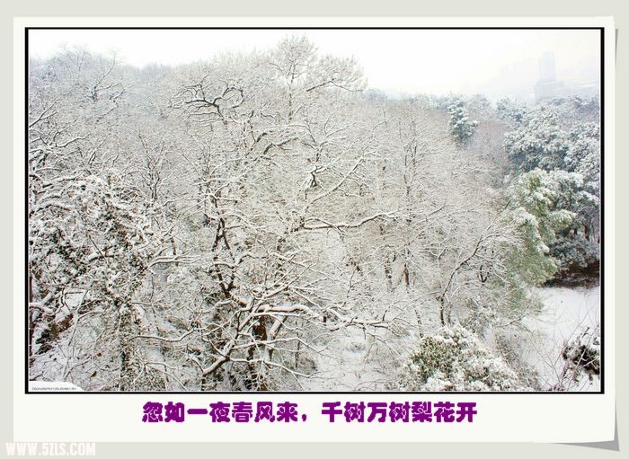 DSC02549=.jpg