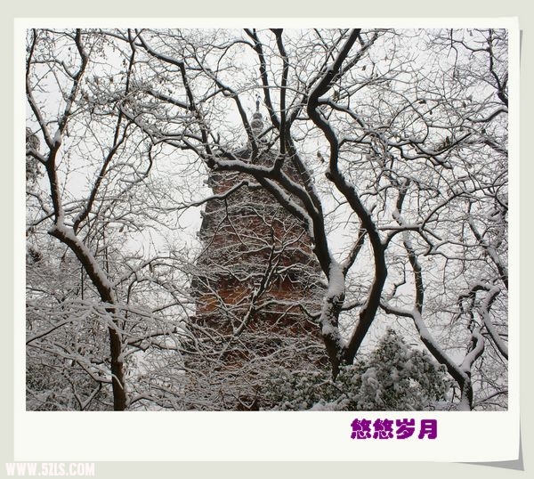 DSC02516=.jpg