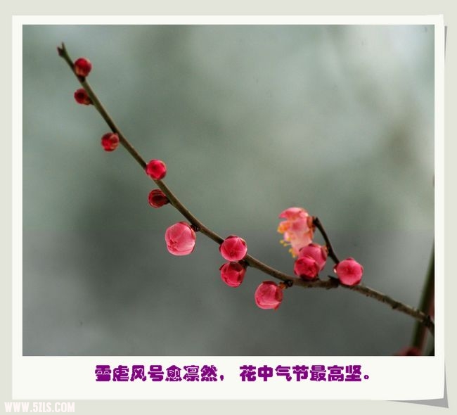 DSC02667=.jpg