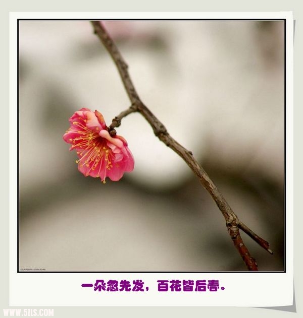 DSC02653=.jpg