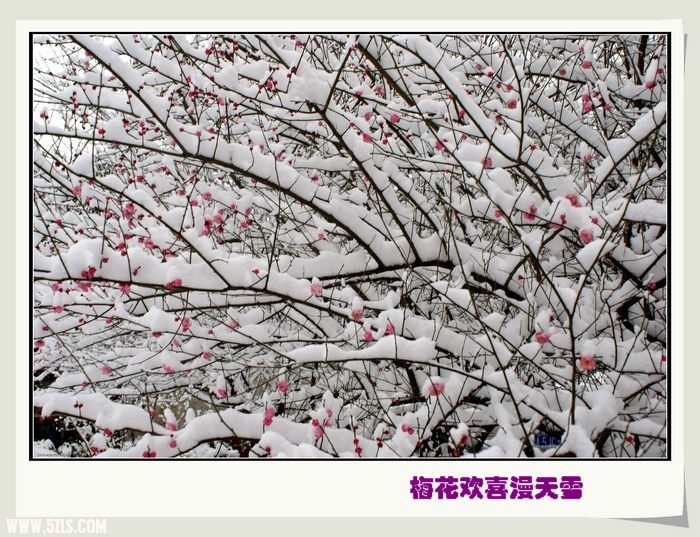 DSC02486=.jpg