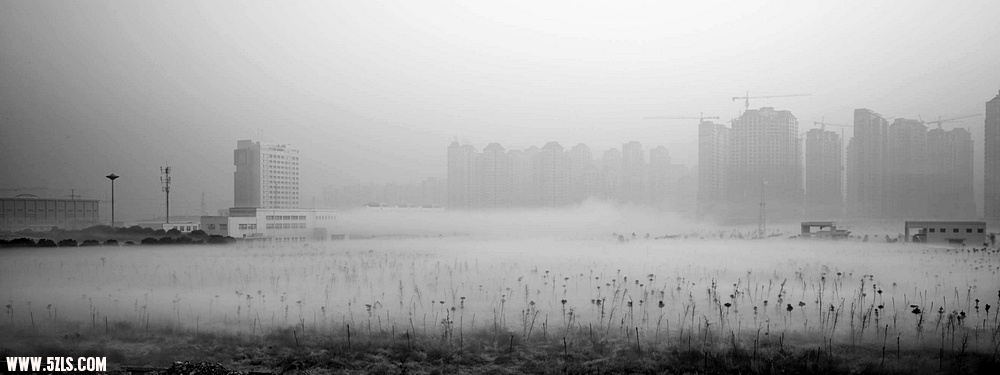 SDIM0132.jpg