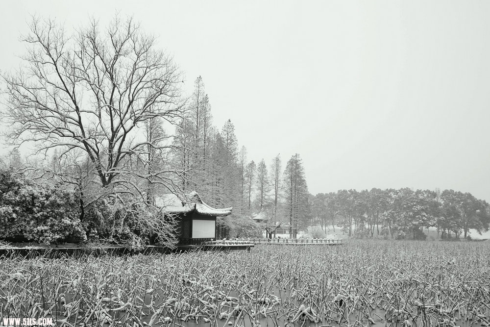 SDIM0328.jpg