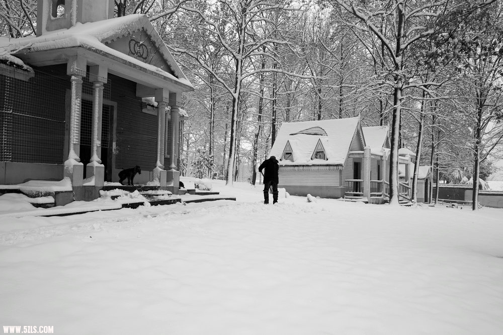 SDIM0340.jpg