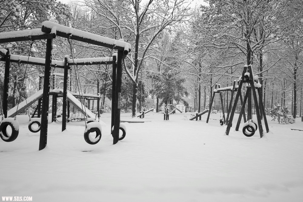 SDIM0349.jpg