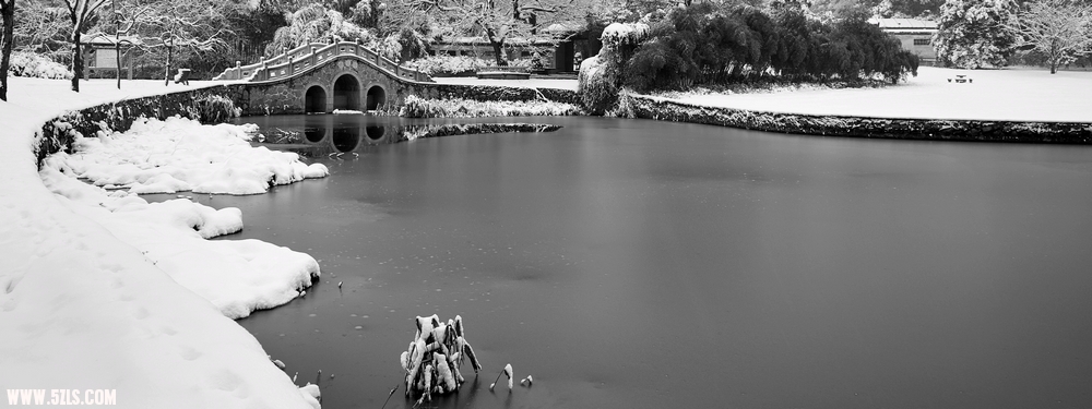 SDIM0368.jpg