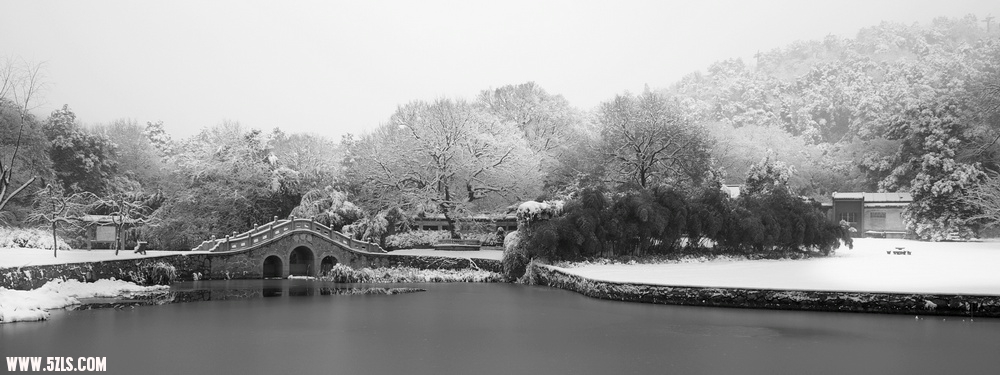 SDIM0350.jpg