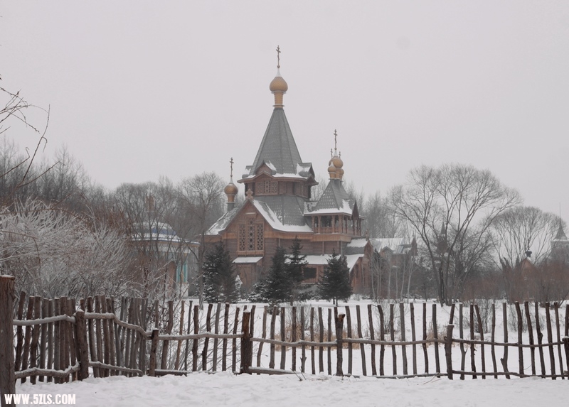 IMG_7933.jpg
