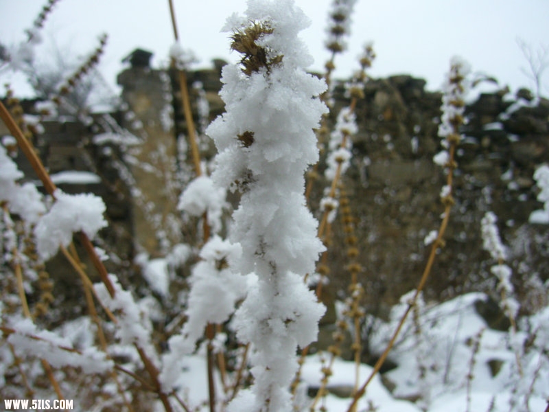 P1100585.JPG