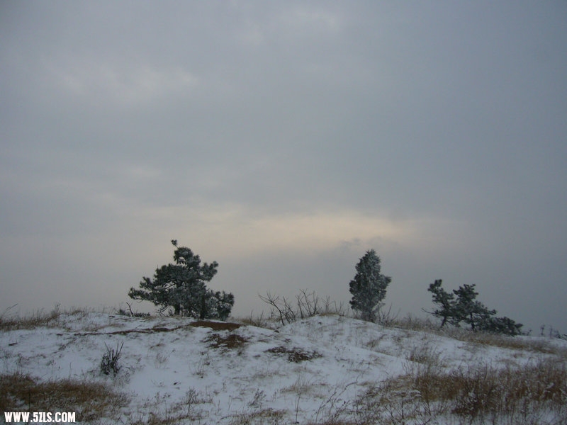 P1100587.JPG