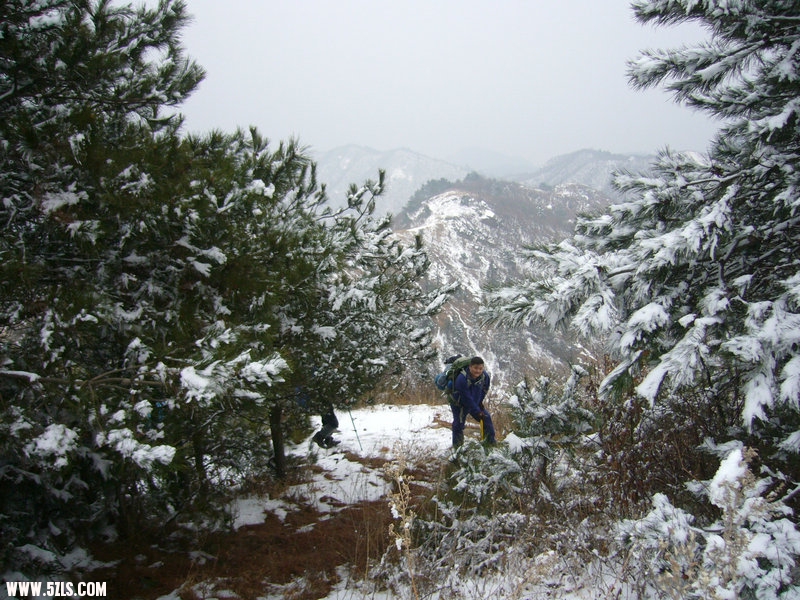 P1100567.JPG