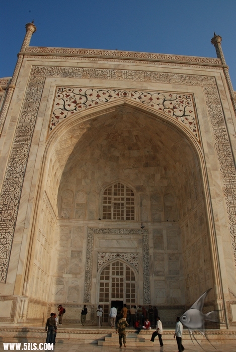 975.jpg