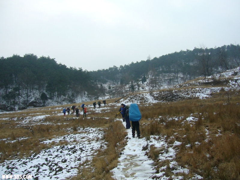 P1100523.JPG
