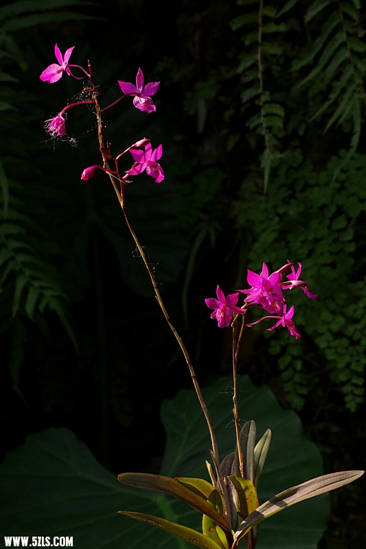IMGP8584.jpg