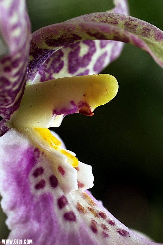 IMGP8597.jpg