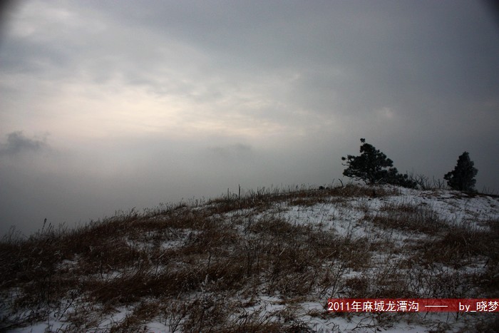 IMG_6266.jpg