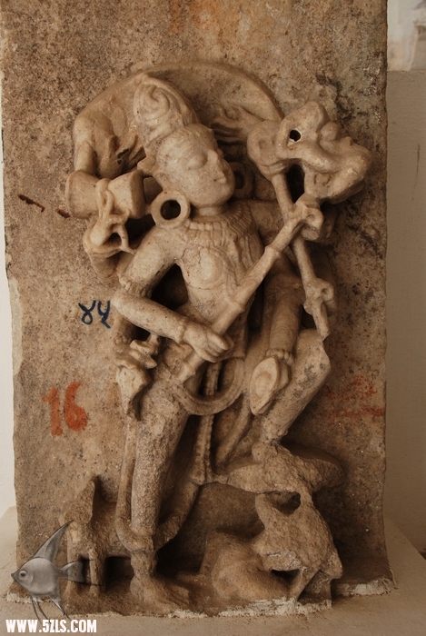 1401.jpg