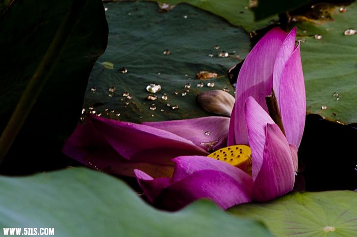 nEO_IMG__DSC0874.jpg