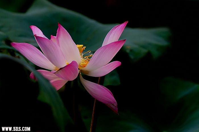 nEO_IMG_DSC00034.jpg