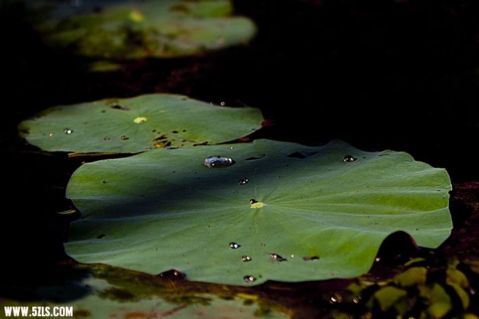 nEO_IMG__DSC0864.jpg