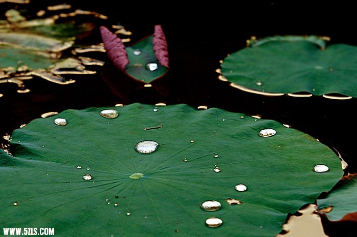 nEO_IMG_DSC00032.jpg