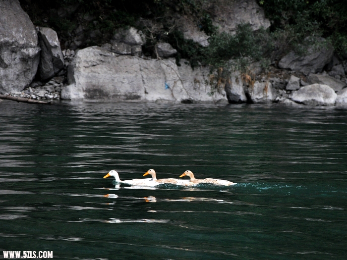 DSC_0086-1.jpg