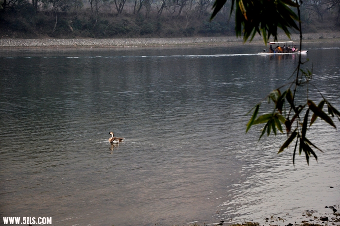 DSC_0105-1.jpg