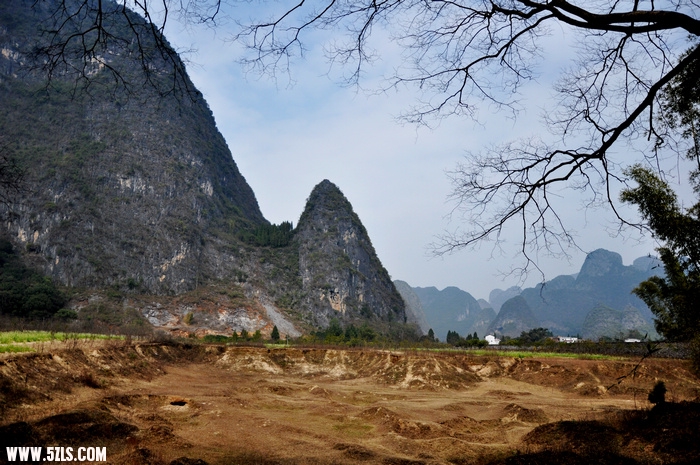 DSC_0207-1.jpg