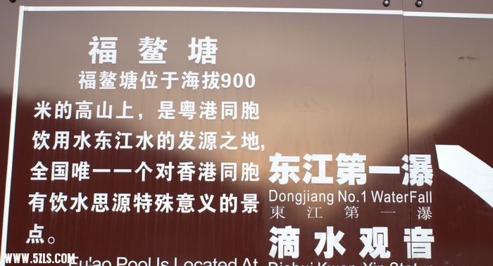 DSC08309.jpg