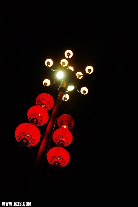 nEO_IMG_DSC_7153.jpg