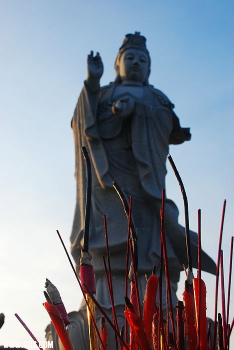 nEO_IMG_DSC_7228.jpg