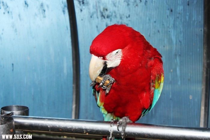 IMG_6673.jpg