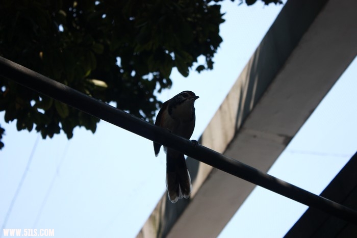 IMG_6686.jpg