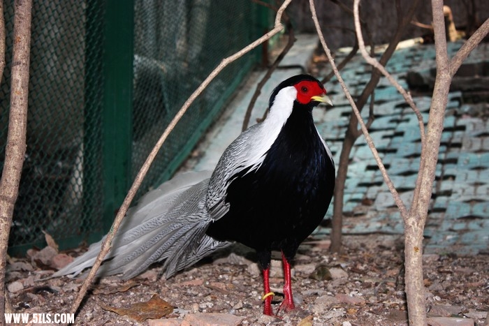 IMG_6703.jpg