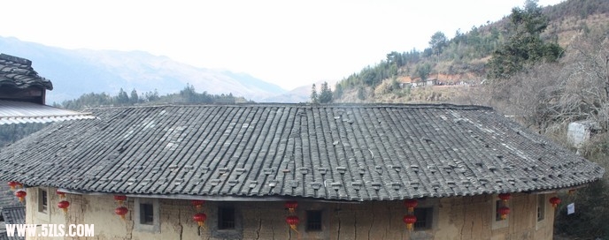 IMG_6954.jpg