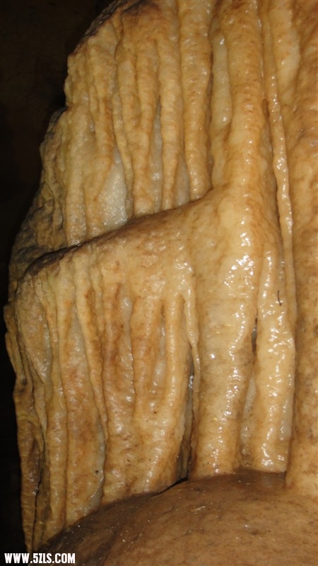 http_imgloadCAL1EZS9.jpg