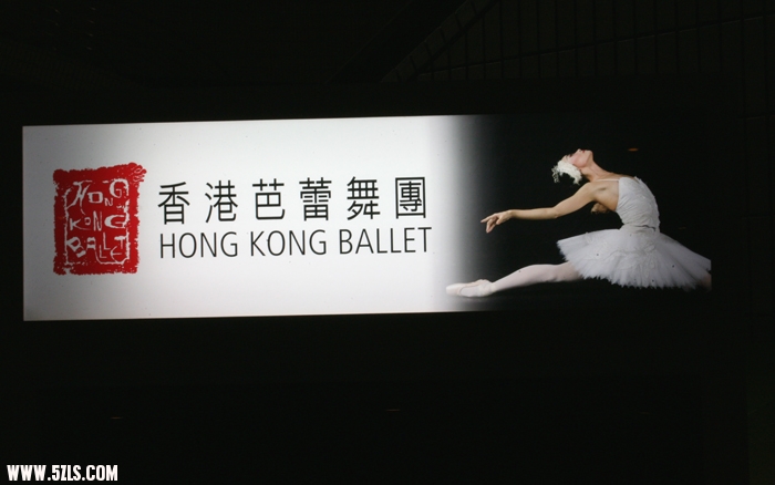 照片 1541.jpg