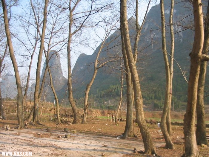 Ƭ 060.jpg