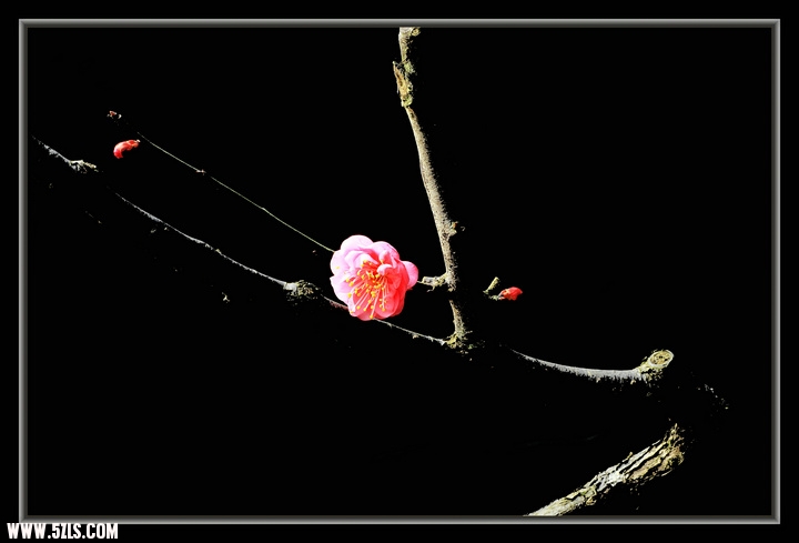 IMG_3628.jpg