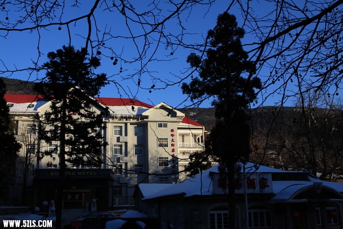 ls006.JPG