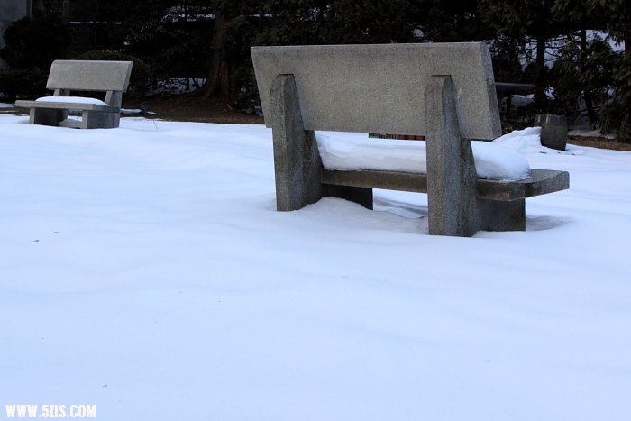 ls011.JPG